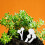 12Pièces Champignons Résine Blancs Figurines Miniatures Décor 8