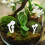 12Pièces Champignons Résine Blancs Figurines Miniatures Décor 9