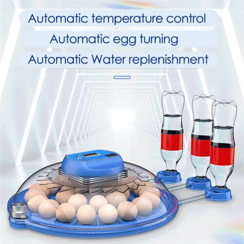 Intelligent Small-Sized 8-Piece Automatic Temperature Control Incubator for Incubating Chickens Poultry Hatchery EU Plug 1