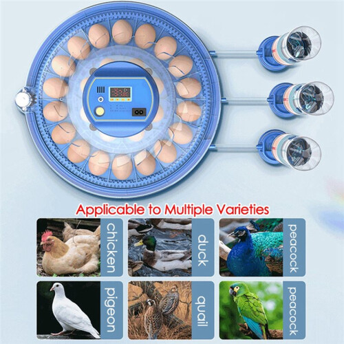 Intelligent Small-Sized 8-Piece Automatic Temperature Control Incubator for Incubating Chickens Poultry Hatchery EU Plug 2