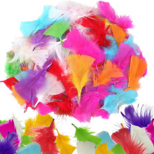 Craft Feathers for Children – 300 Small Coloured Feathers for Crafting, Kids Arts, DIY, Easter, Collage, Decorations and Embellishments | Multicolou