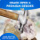 National Geographic Break Open 4 Geodes Earth Science Kit for Kids 2