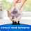 National Geographic Break Open 4 Geodes Earth Science Kit for Kids 5