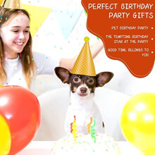 Jiosdo Birthday Party Hats, 11Pcs Cone Birthday Hats with Pom Poms, DIY Birthday Crown Paper Hats Christmas New Year Party Hats for Adults Kids Pets