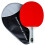 Palio Expert 3.0 Table Tennis Bat & Case | ITTF Approved 1