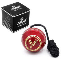 5RIDGE String Cricket Balls – Cricket Shot Practice Hanging Ball Develop Hand-Eye Coordination Leather Hanging Cricket Ball for Practice and Knockin