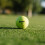 Srixon SOFT FEEL_14 Ultra-soft and long distance golf balls| Stable 5