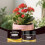 Yegbong Soil Activator, Plant Nutrient Supplement for Germination and Growth 4