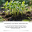 Yegbong Soil Activator, Plant Nutrient Supplement for Germination and Growth 2