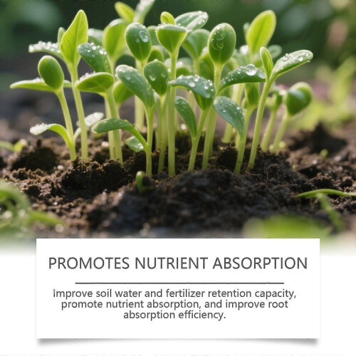 Yegbong Soil Activator, Plant Nutrient Supplement for Germination and Growth 1