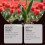Yegbong Soil Activator, Plant Nutrient Supplement for Germination and Growth 3