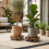 2 Pack Plant Trolley with Lockable Wheels 5