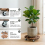 2 Pack Plant Trolley with Lockable Wheels 2
