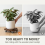 2 Pack Plant Trolley with Lockable Wheels 4