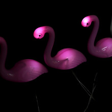 Solar Flamingo Light 3-in-1 LED for Garden