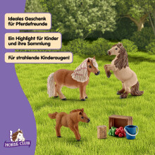 SCHLEICH HORSE CLUB - 8 PC Miniature Shetland Pony Family Playset with 3 Horses and Accessories - Collectable Farm Animal Figurines - Realistic Mini