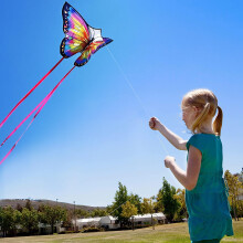 HONBO Butterfly Kites for Kids & Adults,55" x 28" Large Beginner Kite for Kids Ages 4-8,Easy to Fly for Beginners, Each Kite with 300ft Line Handle,B