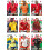 FIFA World Cup 2026 Adrenalyn XL Multiset 2