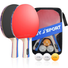 Table Tennis Bats and Balls Set, Portable Table Tennis Paddles with Balls, Professional Ping Pong Set for 2 or 4 Players with Portable Bag (2 TT Bats