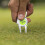 Callaway Callaway 4-in-1 Golf Divot Repair Tool 3