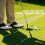 CHAMPKEY 3-Pack Collapsible Golf Alignment Sticks 46" - Professional Training Ai 4