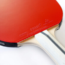 Palio Expert 3.0 Table Tennis Bat & Case | ITTF Approved