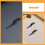 5pcs Emergency Glass Break Key Alarm Button Key Quick Reset Switch Key Emergency Stop Switch Key For Fire Safety Exit Doors Emergency Doors 5