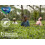 Tetley Raspberry & Pomegranate String & Tag Envelopes 6 x 25 Teabags 7