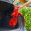 Mookie Scuttlebug Beetle/Bumble 4