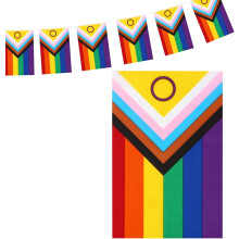 Progress Pride Rainbow Trans Bunting, 40 Rectangle UV Fade Resistant Fabric Flags for Celebration, 10M/32.8FT Gay Lesbian Bisexual Pansexual Banner f