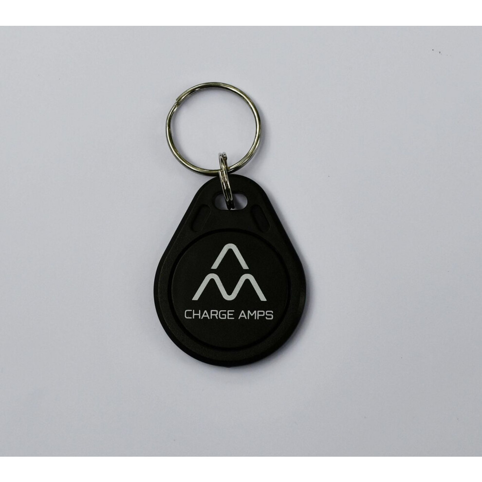 Charge Amps Rfid Keyring Kit 10 Pcs 7350084191532