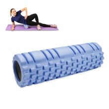 Facia Roller Back Spine, Blackroll, Massage Roller for Back, Spine, Back Legs, Fascia Roller Spine for Fitness, Gym (Blue)