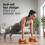 Athlyt Neoprene Dumbbell Set, 2 x 1kg, Grey 5