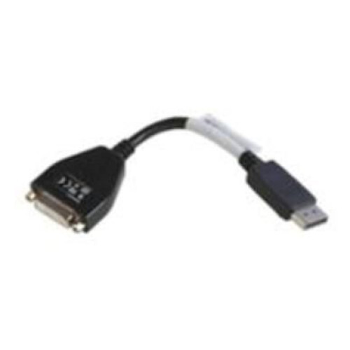 Lenovo Lenovo DisplayPort/DVI-D Black