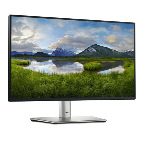 Dell Dell P Series P2225H Computer 2