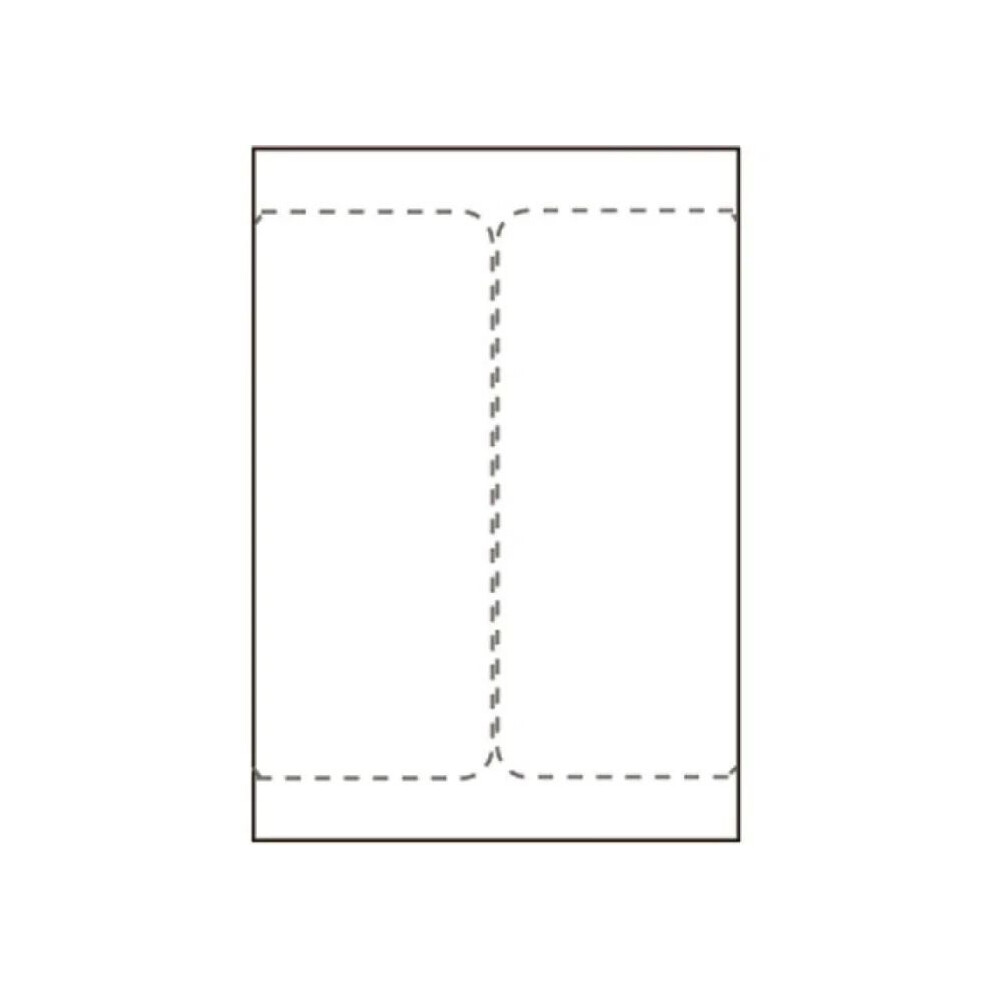 Capture Ship-Label 105 X 220Mm. For Laser/Inkjet Printers. Two Labels Per Sheet 500 Sheets Per Box. Ideal For Dhl Db Schenker Ups Dsv & Postnord 5715063276754