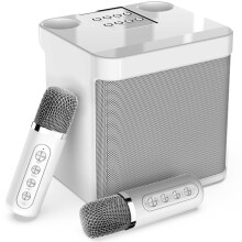Tragbare Bluetooth-Karaokemaschine mit 2 Mikrofonen und HD-Sound