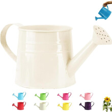 (White, -) 1L metallinen kastelukannu, tinalautanen, sisäkasveille, tukeva vintage suihkupullo pitkällä nokalla, Laadukas