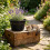 (Black, -) 5 Cestelli piante acquatiche 8.5", idroponica, interno esterno giardino 4