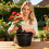 (Black, -) 5 Cestelli piante acquatiche 8.5", idroponica, interno esterno giardino 6