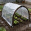 (size_name, 13.1x19.6FT/4x6m) Telone trasparente con occhielli, impermeabile, resistente, esterno 6