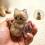 (Clear, 3Pcs) Cat Whisker Keepsake Fridge Magnet, Clear Acrylic, Storage 8