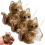 (3 Pcs, one size) Cat Whisker Holder Fridge Magnet, Cat-Shaped Keepsake 1