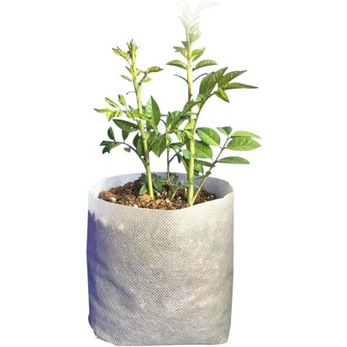 (200 Pcs, One Size) 100 ks netkané pytle na sazenice