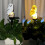 (White, 1pcs) Ulko aurinko pöllö seiväs valo 5