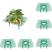 (5 Pcs, One Size) 5/10kpl neliö mansikkatuki, paakkumaton
