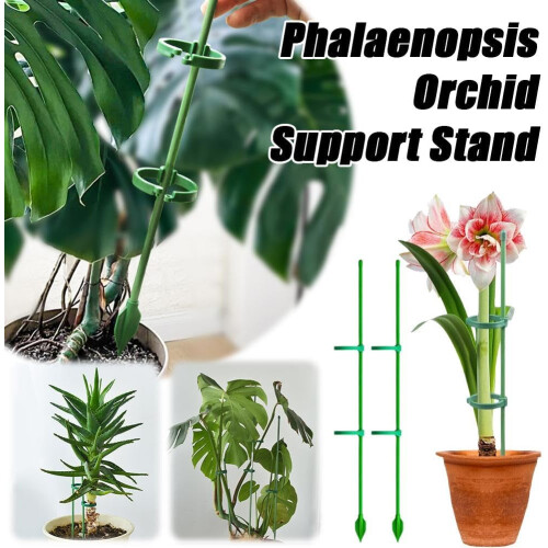 (green, 30cm) 5 Pali supporto regolabili piante interne, con clip e legacci 1