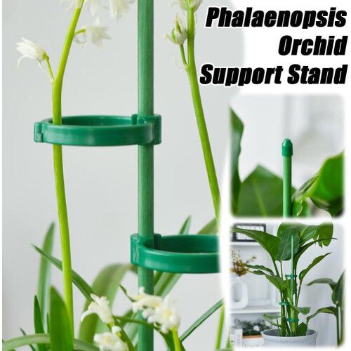 (green, 30cm) 5 Pali supporto regolabili piante interne, con clip e legacci 2