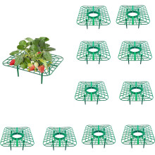 (10 Pcs, One Size) Quadratische Erdbeerpflanzstützen, 5/10 Stück, verrottungsfest