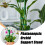 (green, 30cm) 5 Pali supporto regolabili piante interne, con clip e legacci 4